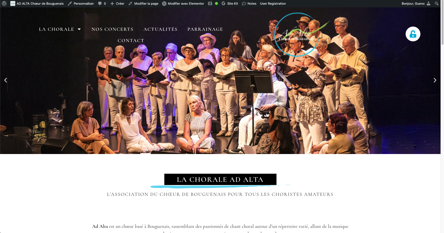 page d'accusil du site adalta-bouguenais.fr